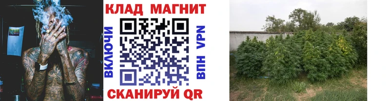Наркошоп купить СК  Кокаин  Меф мяу мяу  ГАШ  Новосиль