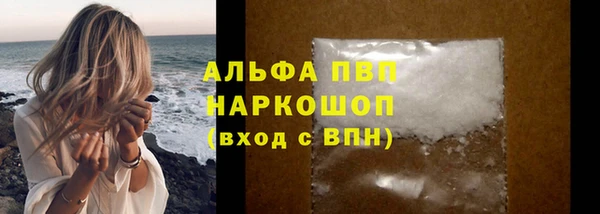мдпв Гусев