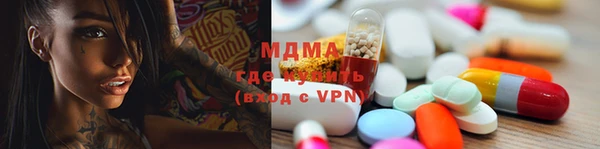 мдпв Гусев