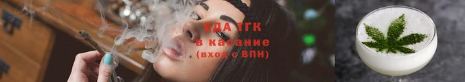 мдпв Гусев