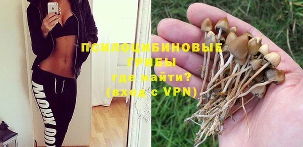 jwh Гусь-Хрустальный