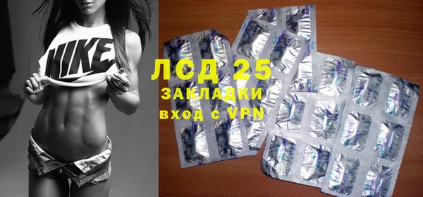 мдпв Гусев
