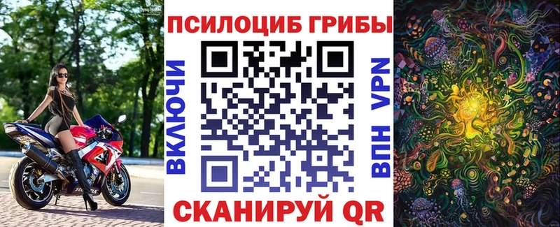 Купить  Новосиль  Псилоцибиновые грибы GOLDEN TEACHER 