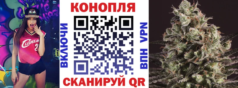 Купить где  Новосиль  МАРИХУАНА планчик 